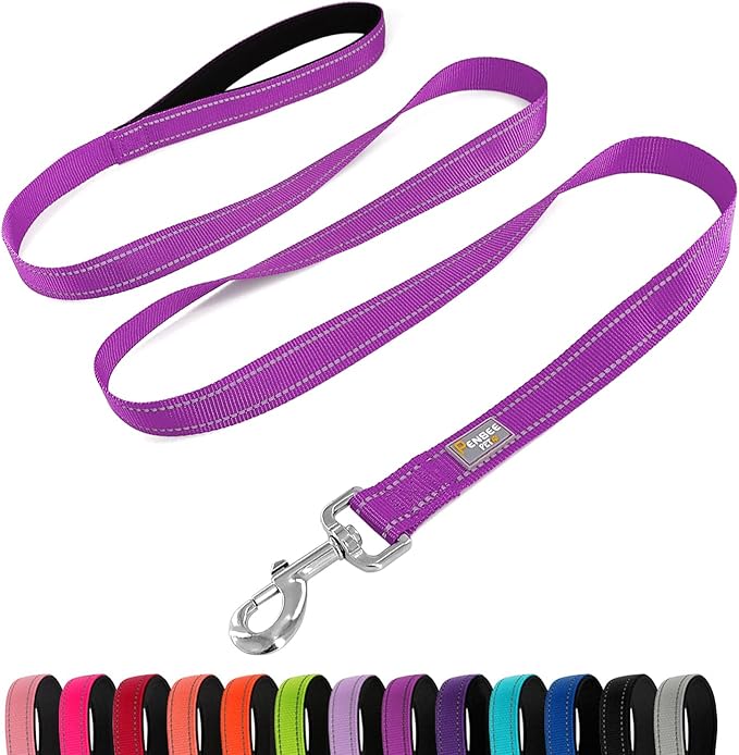 Reflective Dog Leash 6 FT Padded Handle Nylon Dogs Leashes for Large Dogs Dark Magenta