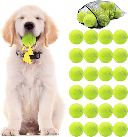 Swingers Squeaky Tennis Balls for Dogs,2.5 inch Training Tennis Balls,Exercise Ball for Pet Dog with Mesh Carry Bag Easy to Transport (Yellow, 24 Pack)