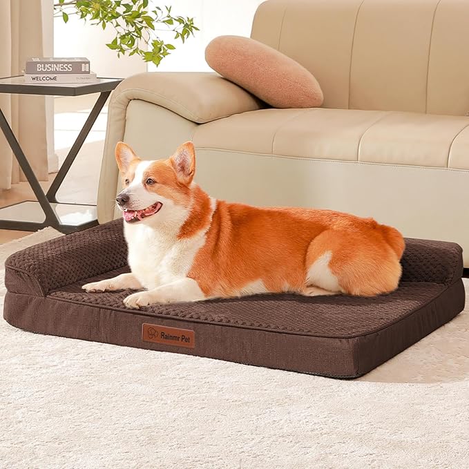 Rainmr Orthopedic Dog Bed Medium Size Dog, Memory Foam Dogs Bed for Medium Dogs, Washable Removable Cover, Nonskid Bottom, Waterproof, for Indoor, Outdoor, Crate ＆ Car Use, 35x23x6 Inches, Brown Grey
