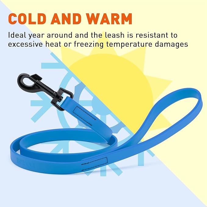 Dogline Biothane Waterproof Dog Leash Strong Coated Nylon Webbing with Black Hardware Odor-Proof Easy to Clean High Performance for Small or Large Dogs Made in USA 4 or 6 ft Lead, Cerulean Blue