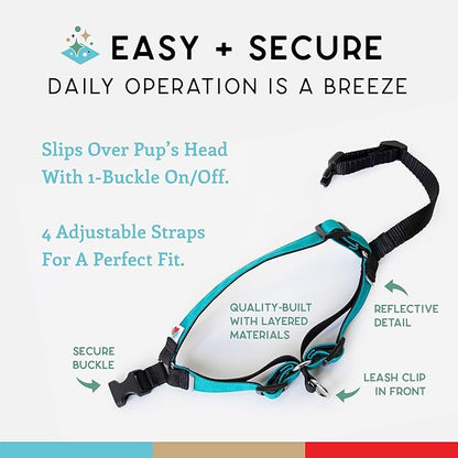Wildebeest No Pull Dog Harness | Comfortable Training Harnesses | Effective No Pull Harness Design | Ideal for Small Dog and Puppy | 4-Point Adjustable (S -18~24 inch Girth, Turquoise)