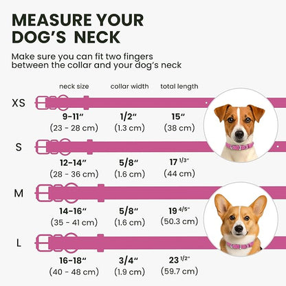 BRONZEDOG Rolled Leather Dog Collar for Small Medium Large Dogs with QR ID Tag (S: 12-14 Inch, Hot Pink)