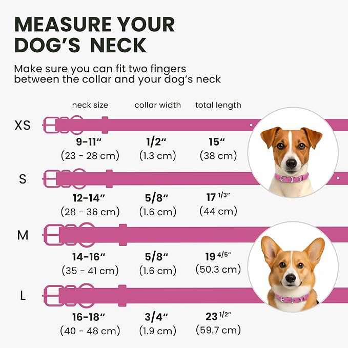 BRONZEDOG Rolled Leather Dog Collar for Small Medium Large Dogs with QR ID Tag (M: 14-16 Inch, Hot Pink)