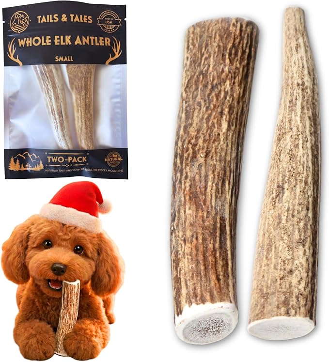 Tails & Tales Whole Elk Antler for Dogs Small 4-6" Long-Lasting & Durable Dog Bones for Aggressive Chewers or Teething Puppies No Additives, Premium Grade A, Naturally Shed in USA