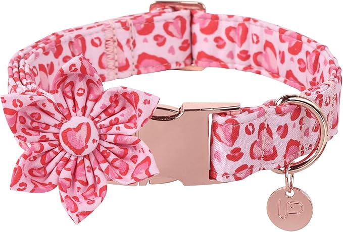 UP URARA PUP Valentine Dog Collar with Flower, Heart Flower Collar for Puppy Girl Boy Dog or Cat, Comfortable Dog Collar Flower with Durable Metal Buckle, Cute Pet Collar,XL, Neck 16-26in