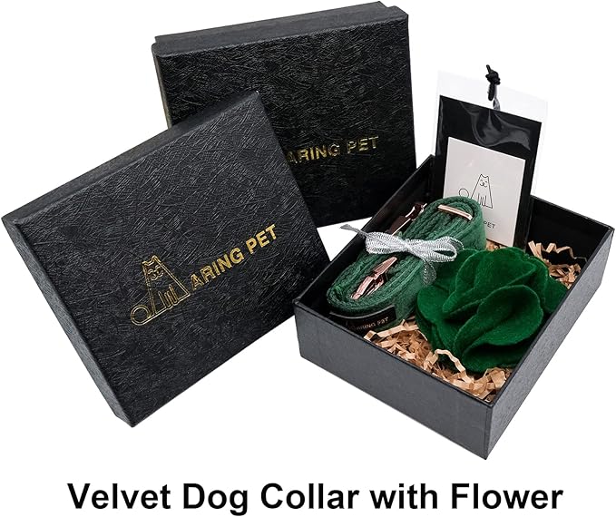 ARING PET Velvet Dog Collars, Dark Green Soft Pet Collar with Detachable Felt Flower Metal Buckle for Puppy Small Medium Large Boy Girl Dogs-XL
