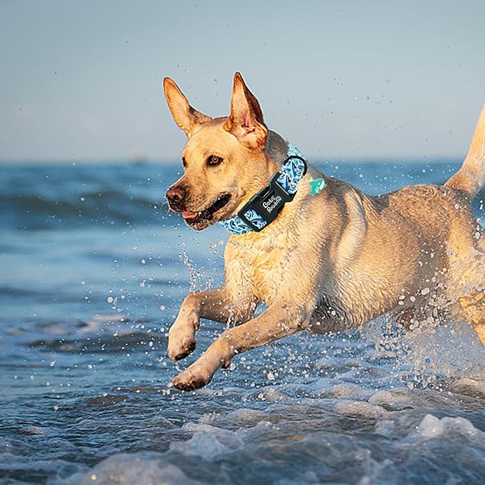 Dog Collar-Cute Shark Adjustable Pet Collars Soft Comfortable Puppy Collar Blue Cotton Dog Collars Durable Necklace Gift for X-Small Dogs