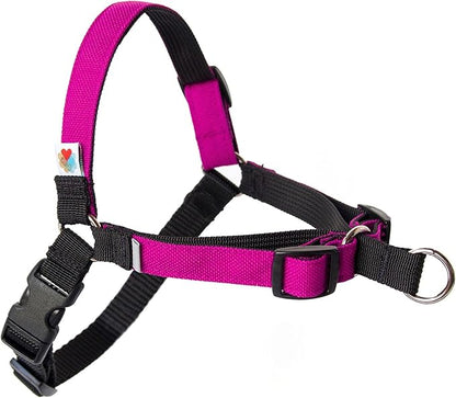 Wildebeest No Pull Dog Harness | Comfortable Dog Training Harnesses | Effective No Pull Harness Design | Ideal Dog Harness for Small Dog and Puppy | 4-Point Adjustable (XS - 15~20 inch Girth, Fuchsia)