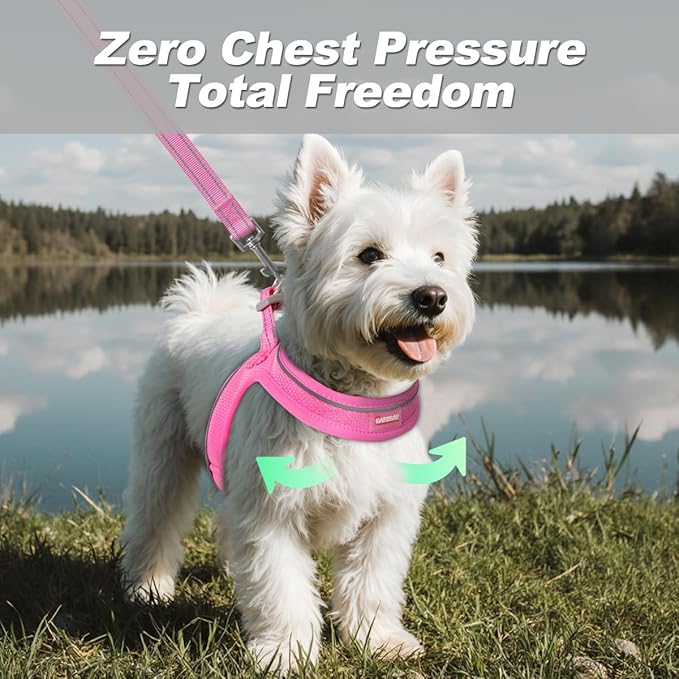 Dog Harness and Leash Set,Step in Small Sized Dog Harness,Soft Mesh,No-Chock,Reflective Adjustable,Secure with Hook & Loop Fastener,Puppy Vest for Small,Medium Dogs(Pink,XS)