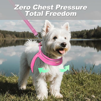 Dog Harness and Leash Set,Step in Small Sized Dog Harness,Soft Mesh,No-Chock,Reflective Adjustable,Secure with Hook & Loop Fastener,Puppy Vest for Small,Medium Dogs(Pink,XS)