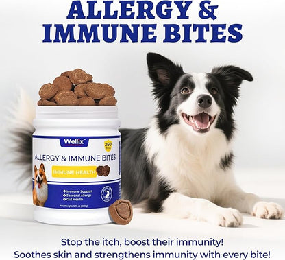 260 Bites Wellix Dog Allergy Chews & Immune Support, Anti Itch Dogs Chews - Dog Antioxidant Supplements - for Puppy, Small Medium & Large Dogs