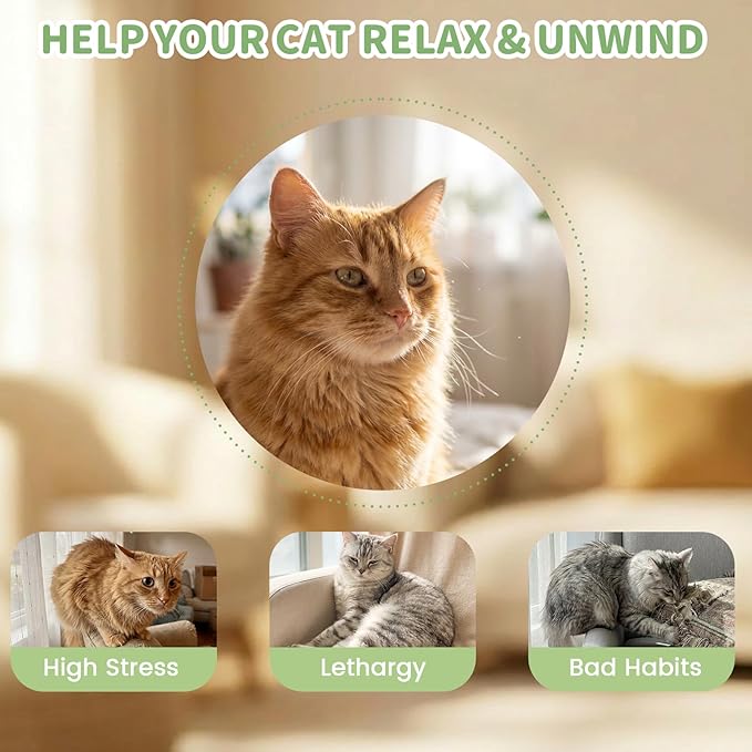 6 Pack Catnip Toys for Cats, Organic Cat Chew Toy and Safe Kitten Teething Chew and Kicker Toys, Funny Pre-Roll Shape for Cat Anxiety Relief, Stress Relieving Fun for Indoor Cats