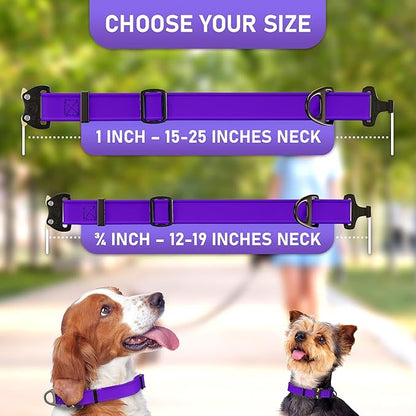 NexaPaw Biothane Dog Collar - Adjustable Heavy Duty for Medium Large Dogs - Waterproof Military Grade - Cobra Buckle, QR Code Dog Tag ID Included