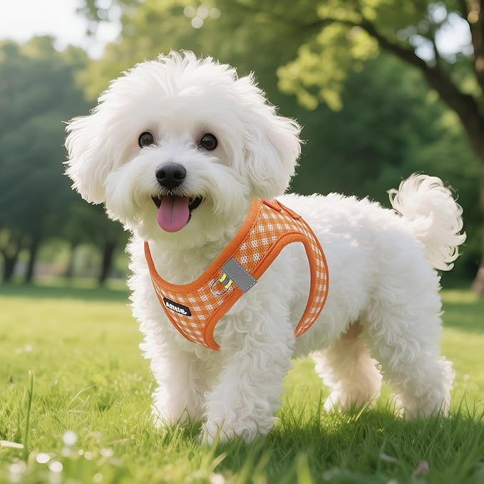 AIITLE Adjustable Dog Vest Harness Set – No-Pull Design, Plaid Print & Reflective Safety– Fits Poodles, Shih Tzus & Medium-Sized Dogs up to 38lbs (M, Orange)