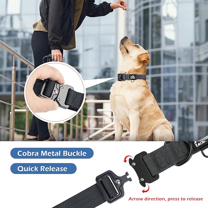 Dog Collar for Large Dogs - Adjustable, Chew Proof Nylon Collar with Metal Quick Release Buckle and D-Ring for Dog Tags (New York Afterlight, XS(0.5''Width, Fit 8''-11''))