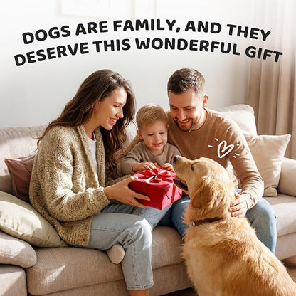 Apasiri Beef-Flavored Durable Dog Ball for Aggressive Chewers, Tough Squeaky Rubber Toy for Pitbulls Large & Medium Breeds
