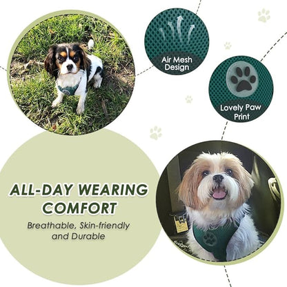 Lukovee Dog Seat Belt for Car, Adjustable Dog Car Harness for Large Medium Small Dogs, Soft Padded & Breathable Mesh Dog Seatbelt with Car Strap and Carabiner((Double Clip 2 in 1),Large)