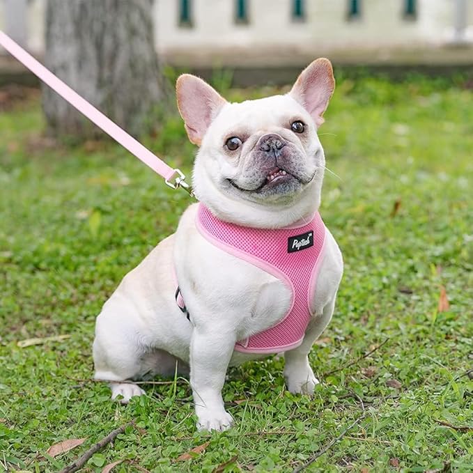 PUPTECK Soft Mesh Dog Harness and Leash Set Pet Puppy Cat Comfort Padded Vest No Pull Harnesses, Solid Pink, S