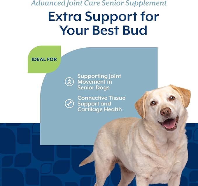NaturVet Senior Advanced Joint Health Dog Supplement – Includes Glucosamine, MSM, Chondroitin, Collagen – Helps Supports Canine Joint Health Function – 120 Ct. Soft Chews