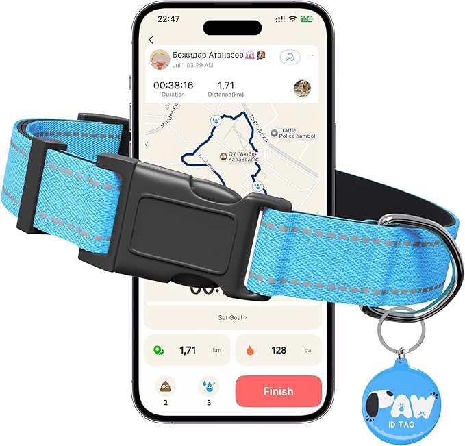 Reflective Dog Collar for Small Dogs with Dog Tags Personalized & Quick Release Buckle, Adjustable and Comfortable Nylon Pet Collar, Blue