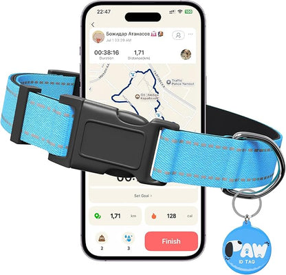 Reflective Dog Collar for Small Dogs with Dog Tags Personalized & Quick Release Buckle, Adjustable and Comfortable Nylon Pet Collar, Blue
