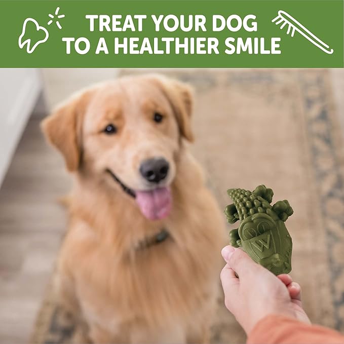 Whimzees Wellness Alligator Dog Dental Treats, Natural Chews, Large Size, (6 Count)