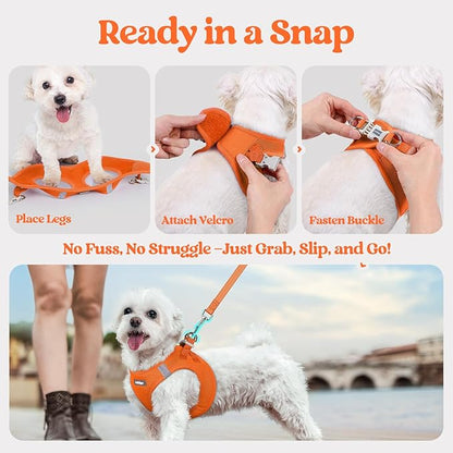 rabbitgoo Dog Harness Small Medium Sized and Leash Set, Step in Soft Light Puppy Vest, Breathable Mesh Pet Harness, Reflective for Safe Easy Walking, Orange L