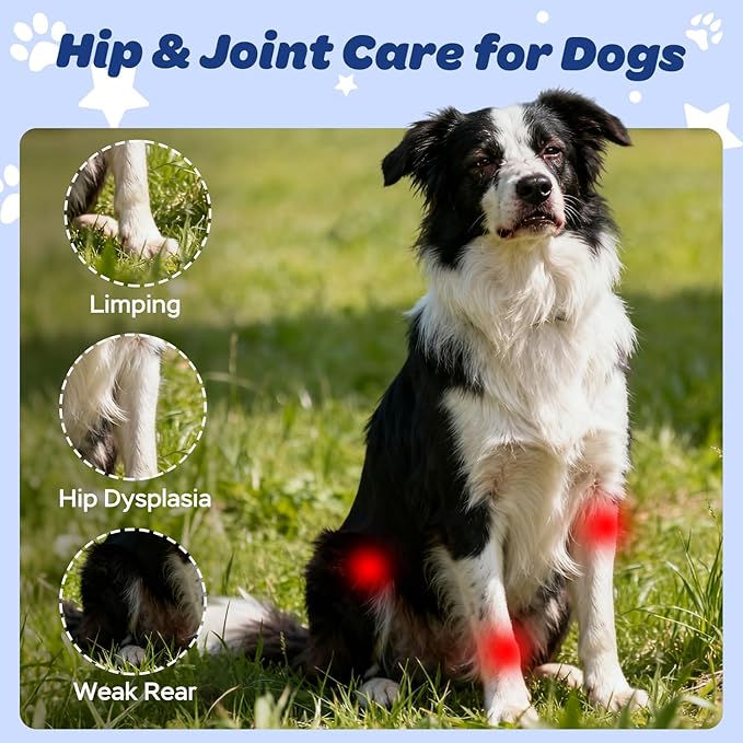 Dog Hip & Joint Supplement with Glucosamine, Chondroitin & MSM – Joint Support Chews with Vitamins C & E for Dogs 120 Soft Chews