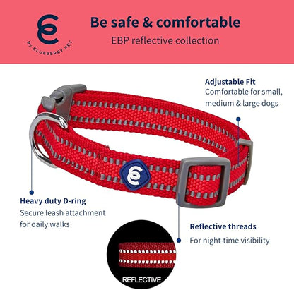 Blueberry Pet Essentials Matching Small Dog Collar | Adjustable Classic Solid Color Nylon Dog Collars for Small Dogs | Reflective Rouge Red Dog Collar for Small Dogs