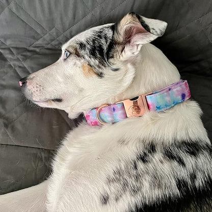 Elegant little tail Dog Collar, Colorful Pattern Pet Collar Durable Cute Dog Collars Fashion Male Female Pet Gift Adjustable Dog Collar for Medium Dogs