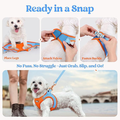 rabbitgoo Dog Harness Small Sized and Leash Set, Step in Soft Light Puppy Vest, Breathable Mesh Pet Harness, Reflective for Safe Easy Walking, Blue & Orange XXXS