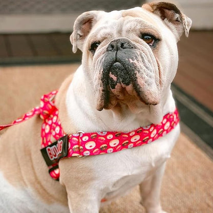 BULLHUG Adjustable Dog Harness– No Pull, No Choke – for English Bulldogs, French Bulldogs, Pugs & Broad-Chested Breeds – Easy, Safe Walks (Donuts, XS)