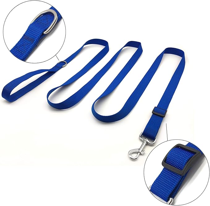 10FT Adjustable Dog Leash, Nylon Dog Leashes for Medium Large Dogs (Blue)