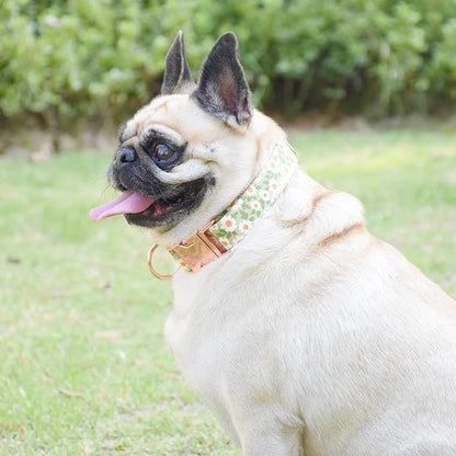 Metal Buckle Dog Collar, Durable Adjustable Dog Collar Soft for Small Medium Large Dogs (003-Green Flower, L(15-23in)