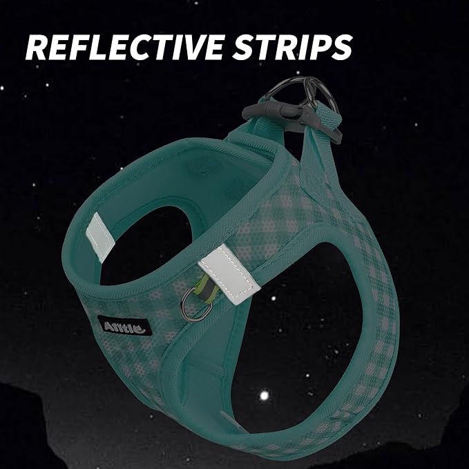 AIITLE Easy Walk Dog Vest Harness and Leash Set, Pet Supply No Pull, Breathable Mesh, Reflective Stripes, Adjustable Escape Proof Pet Outdoor Harnesses for Medium Dogs Turquoise L