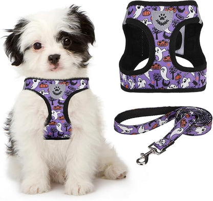 KOOLTAIL Halloween Dog Harness and Leash Set for Small Medium Dogs, Step in No Pull Soft Mesh Harness Comfort Padded Pet Vest, Adjustable Reflective Easy Walking Puppy Cats Harness Training, Ghost M