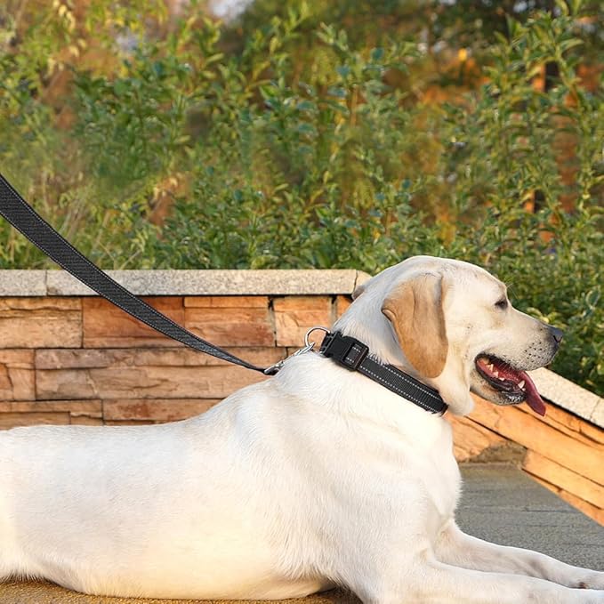 Dog Leash 6 FT Padded Handle Nylon Reflective Dogs Leashes for Small Dogs Black