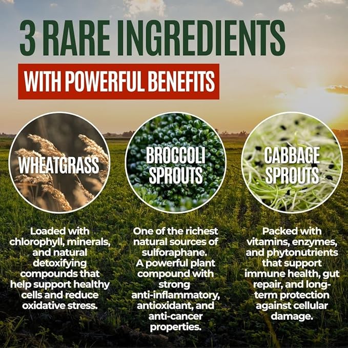 Gussy's Gut Youthful Grasses & Sprouts Dog Gut & Digestive Health Supplement- Human Grade Fermented Ingredients- Super Greens, Pre/Post & Probiotic All in One - Maintain Protocol