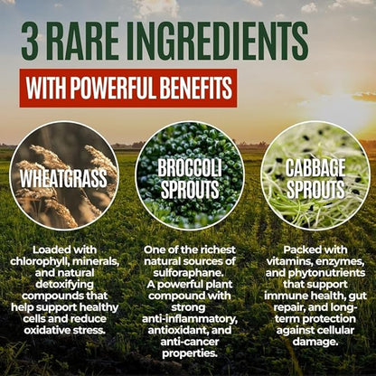 Gussy's Gut Youthful Grasses & Sprouts Dog Gut & Digestive Health Supplement- Human Grade Fermented Ingredients- Super Greens, Pre/Post & Probiotic All in One - Maintain Protocol