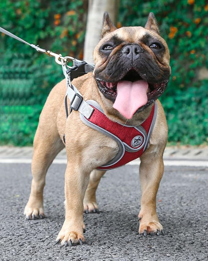 Puppy Harness and Leash Set,No Pull Adjustable Step in Soft Mesh Vest Harness,Easy Walk Reflective Pet Harness with Padded Handle for Walking Training Small Medium Large Dogs and Cats (Red, XS)