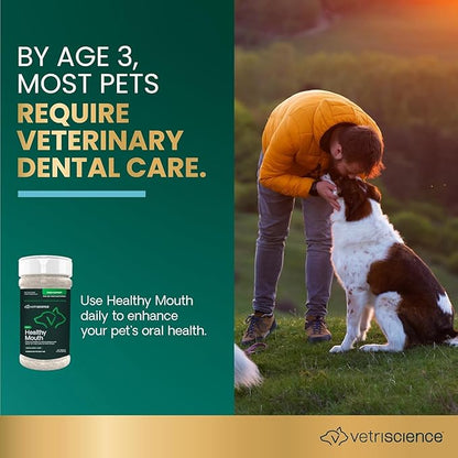VetriScience Healthy Mouth Dog Dental Powder, 2Pack – Helps Reduce Plaque & Tartar Buildup, Support Clean Teeth & Fresh Breath, Vet-Formulated Oral Care Powder for Dogs Cats, NASC Certified, 2 x 4.2oz