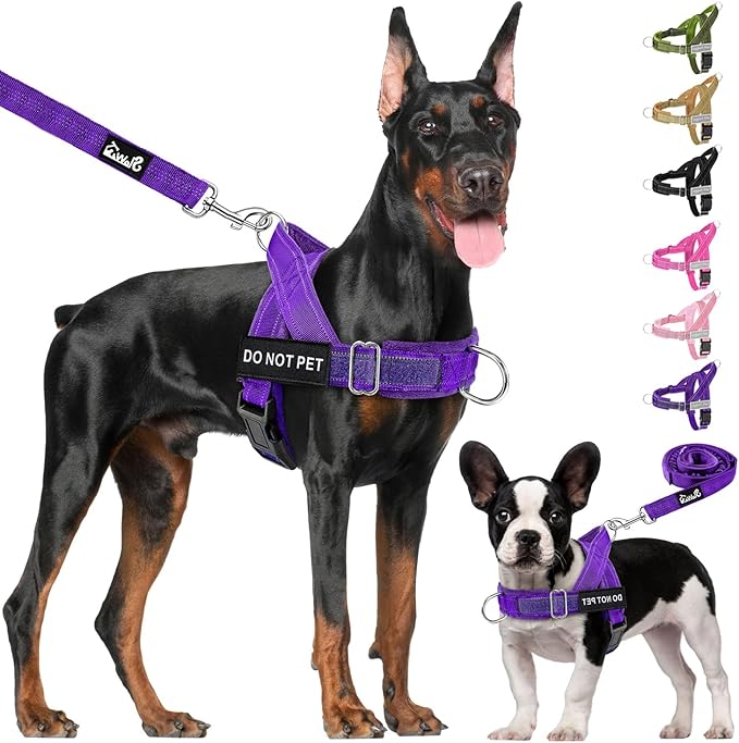 Lukovee No Pull Dog Harness & Leash Set - Heavy Duty Dog Vest Harness with Soft Padded for Medium Large Dogs, Adjustable Reflective Tactical Pet Harness for Easy Walk and Training (L, PU)