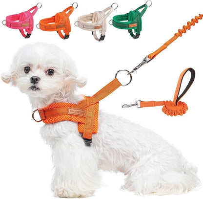 BEAUTYZOO Dog Harness for Small Dogs, No Pull Dog Harness and Leash Set, Escape Proof Puppy Vest Harness with Handle, Reflective Breathable Mesh Padded Harness for Girl Boy Dogs, Orange XXS