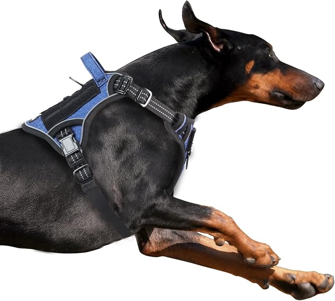 BUMBIN Tactical Dog Harness for Small Dogs No Pull, Famous TIK Tok No Pull Puppy Harness, Fit Smart Reflective Pet Walking Harness for Training, Adjustable Dog Vest Harness with Handle Denim Blue XL