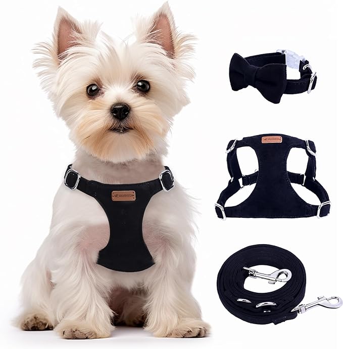 Dog Harness and Leash Set, XXS No Pull Adjustable Puppy Harness with Multifunction Pink Dog Leash and Dog Collar, Soft No Choke Escape Proof Pet Harness Vest for Small Dogs and Cats (Black, XXS)