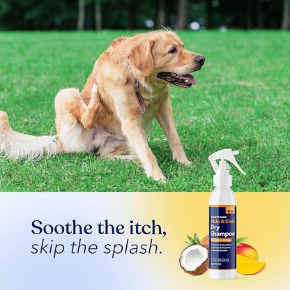 Honest Paws Dog Dry Shampoo - Waterless No Rinse Spray Formula Reducing Itch Cleanse Hydrate Nourish Dry Skin and Smelly Coat Help Decrease Odor Shedding and Allergies - Coconut & Mango - 8 oz