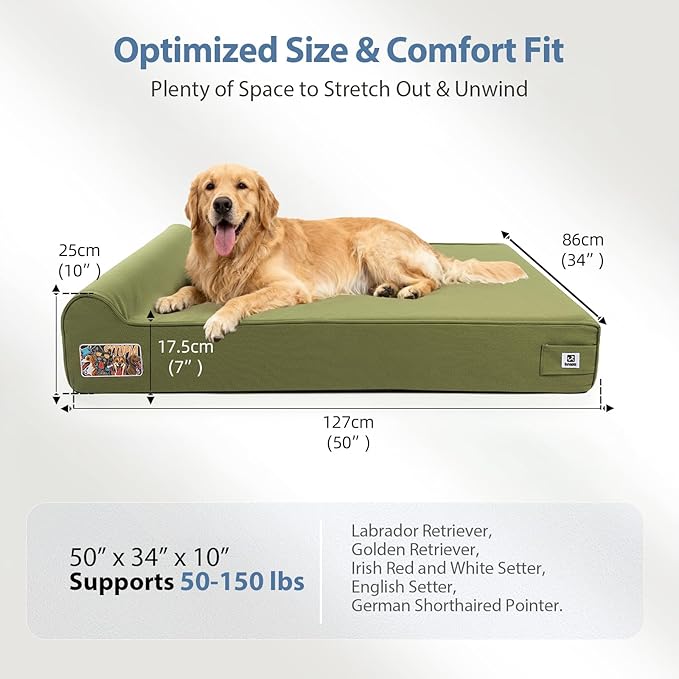 Sytopia XXL 50" Orthopedic Dog Bed – Outdoor Canvas 7" Thick Memory Foam Mattress with Pillow, Removable Washable Waterproof Liner – Ultimate Comfort for Extra Large Breed Dogs Over 100 Pounds, Green