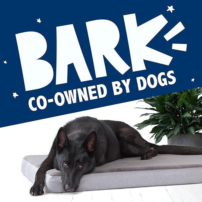 Barkbox Orthopedic Dog Bed with Memory Foam, Premium Comfort for Dogs and Puppies, Dog Beds for Joint Relief and Restful Sleep, Durable and Easy to Clean - Grey, Medium