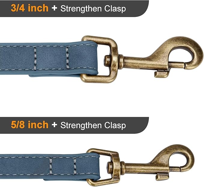 Didog Stylish PU Leather Dog Leash for Medium Dogs, Easy to Clean 5ft Dog Leashes for Large Dogs, Fashionable and Elegant for Walking, Running and Training,Blue, M