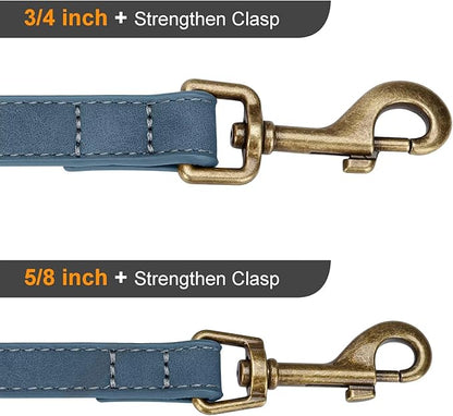 Didog Stylish PU Leather Dog Leash for Medium Dogs, Easy to Clean 5ft Dog Leashes for Large Dogs, Fashionable and Elegant for Walking, Running and Training,Blue, M